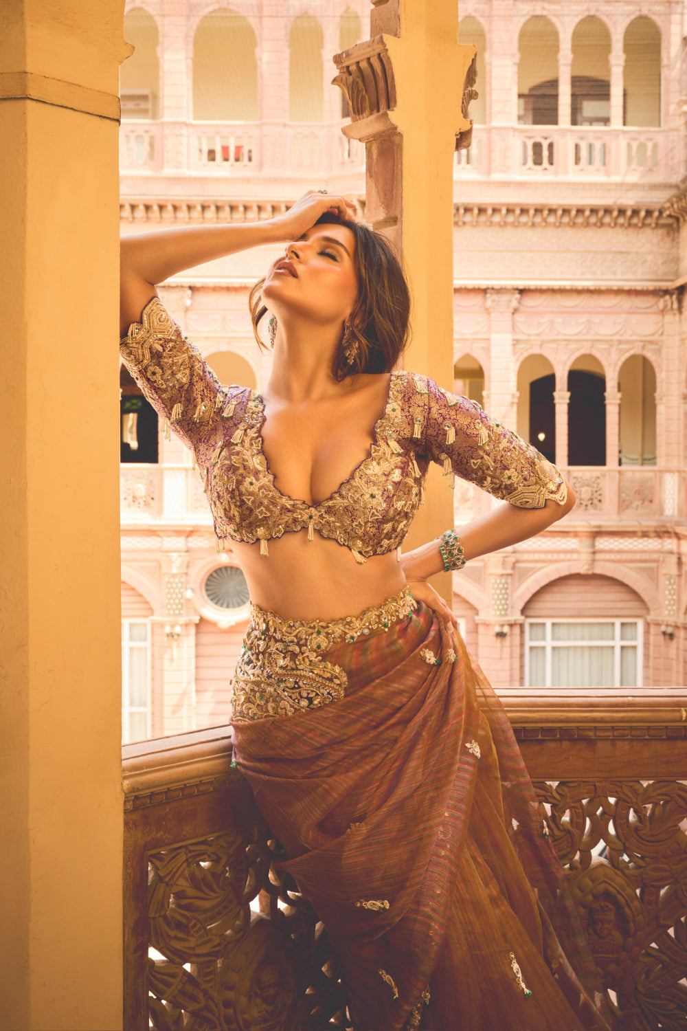 Taupe Amethyst Saree