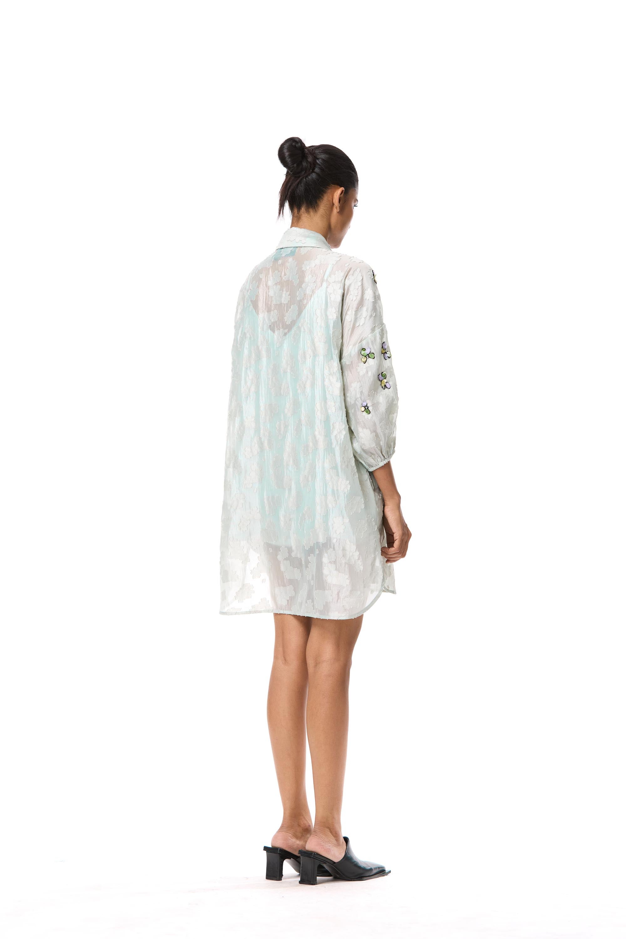 Cendrea Embellished Dress