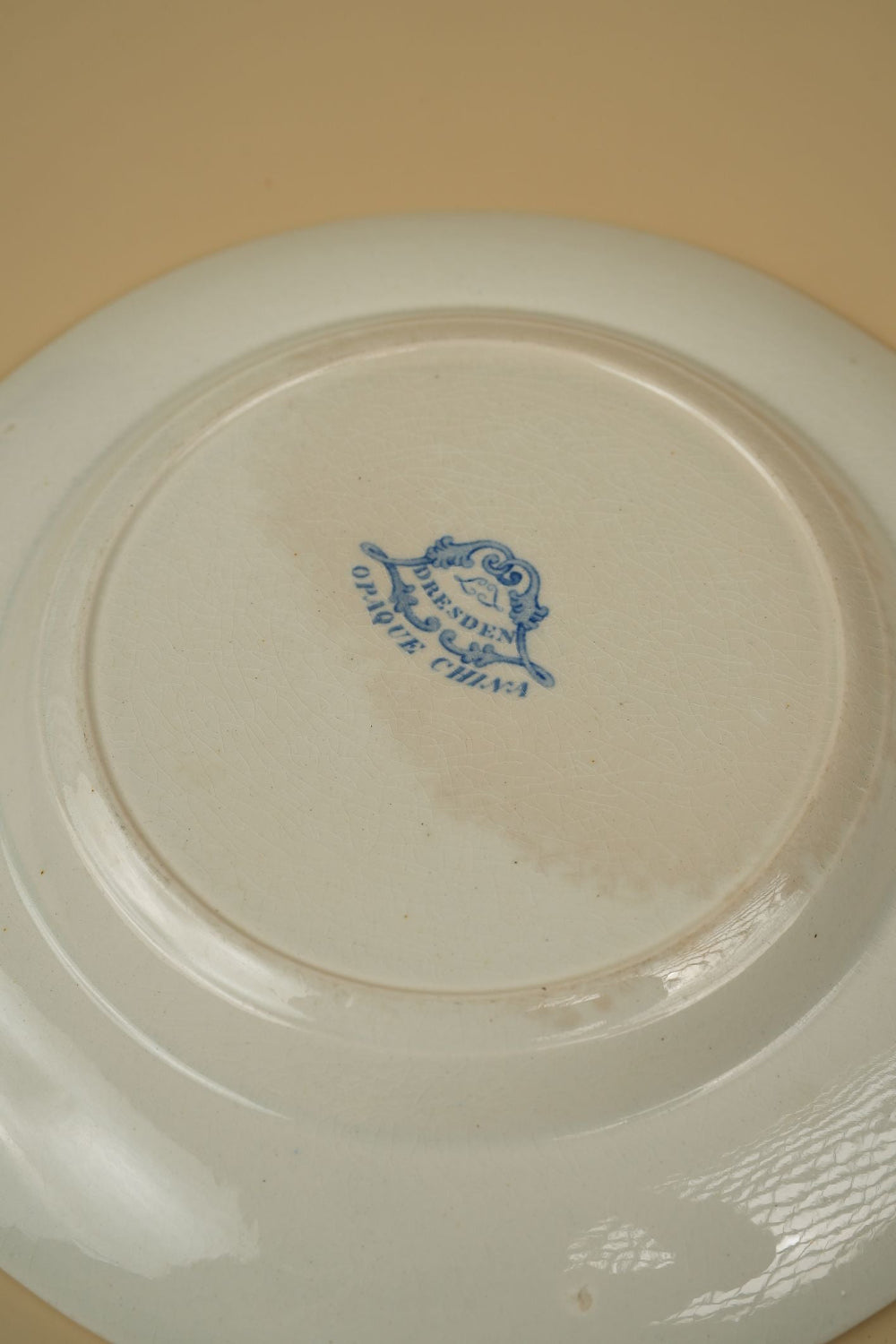 Preloved Vintage Antique Dinnerware Set by J. Ridgway