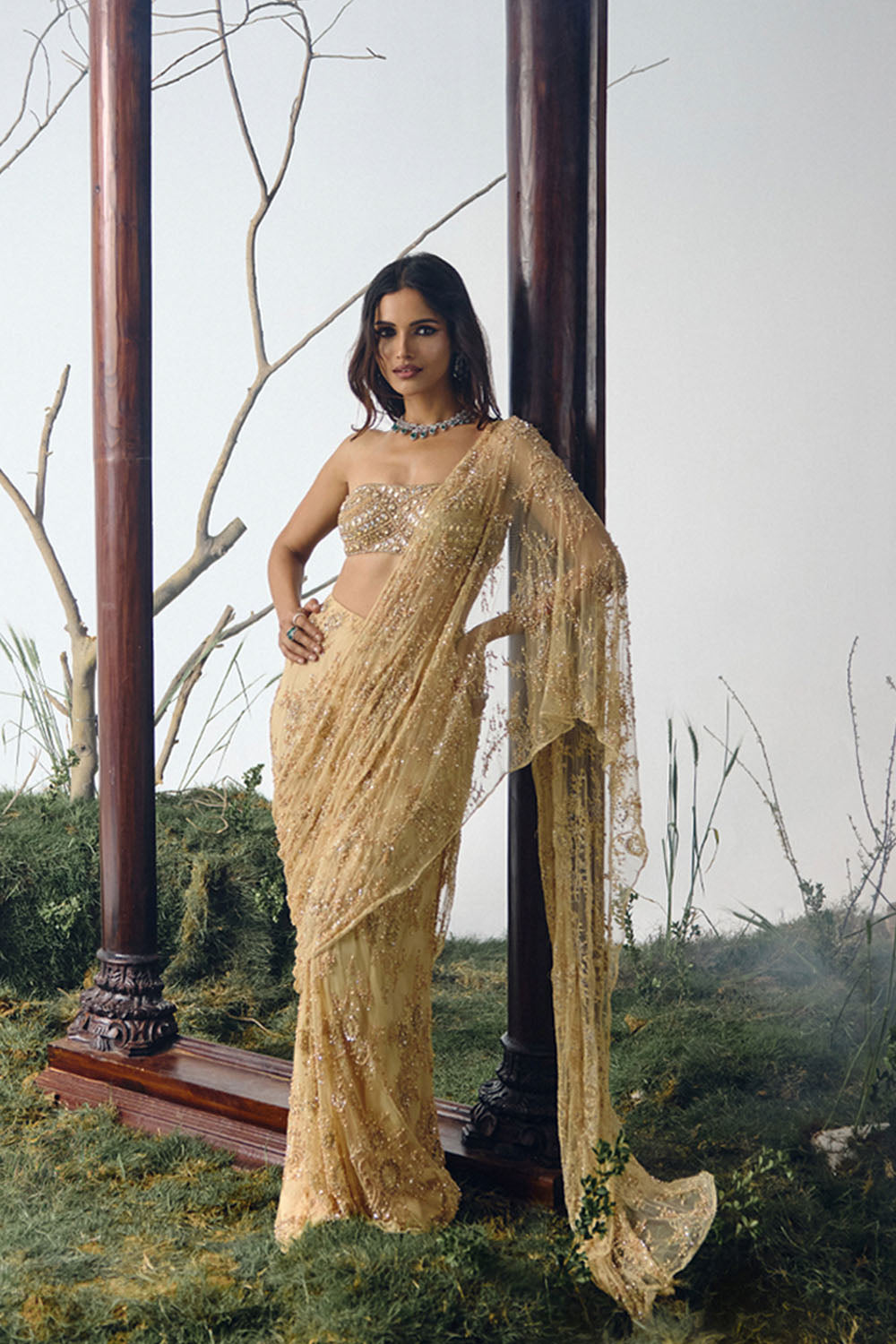 Gold Stone Embellished Lace Saree Set