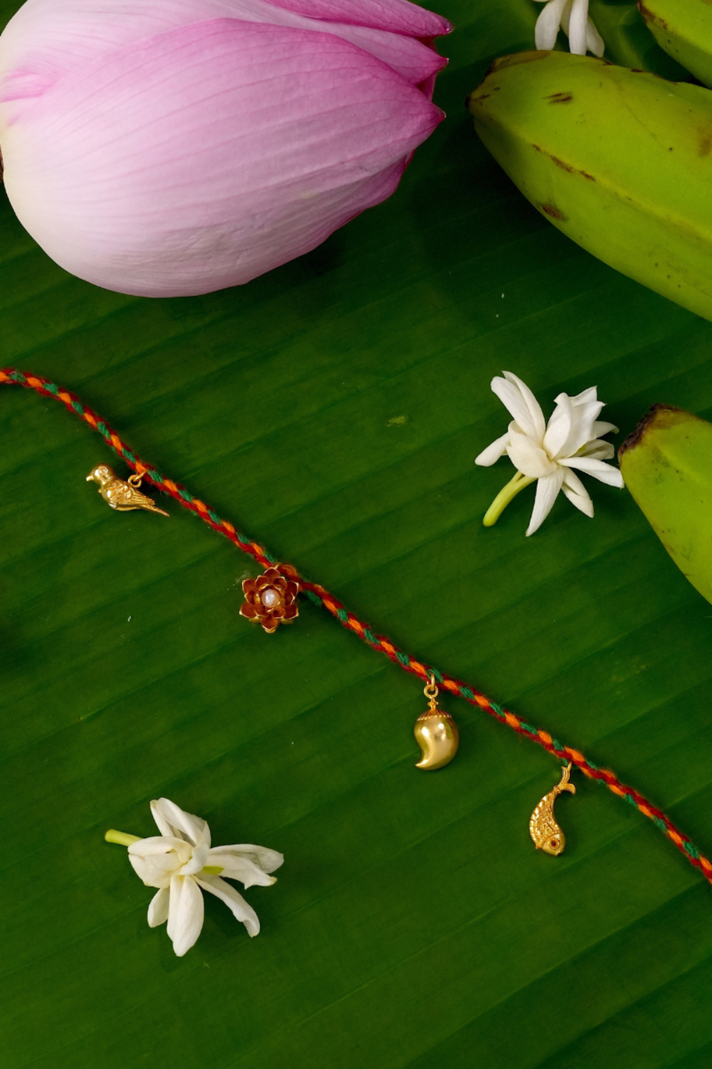 Bagh Rakhi